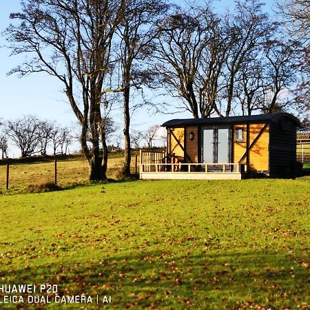 Vila Pen-Rhos Luxury Glamping "Cuckoo'S Nest" Llandrindod Wells Exteriér fotografie