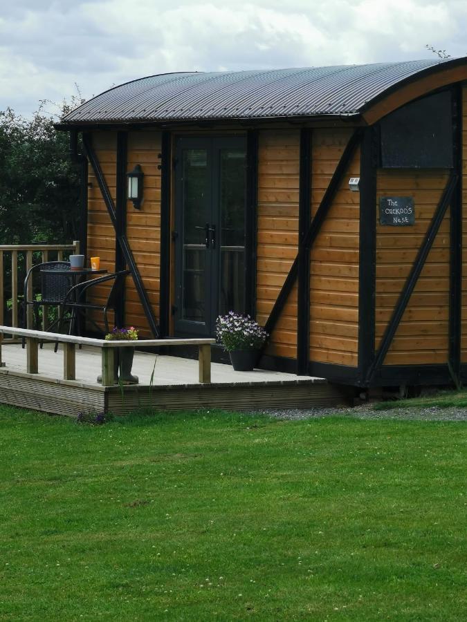 Vila Pen-Rhos Luxury Glamping "Cuckoo'S Nest" Llandrindod Wells Exteriér fotografie