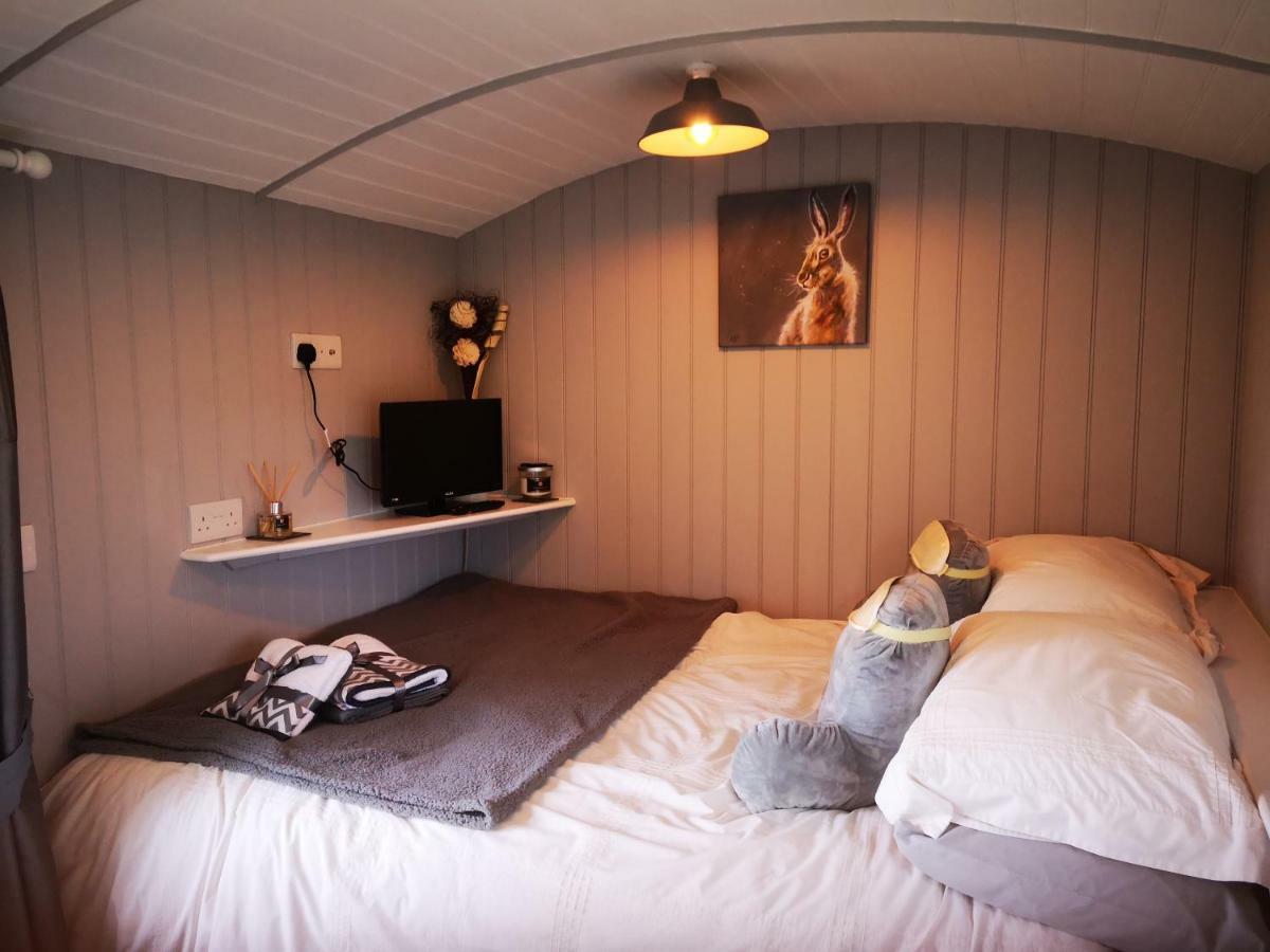 Vila Pen-Rhos Luxury Glamping "Cuckoo'S Nest" Llandrindod Wells Exteriér fotografie