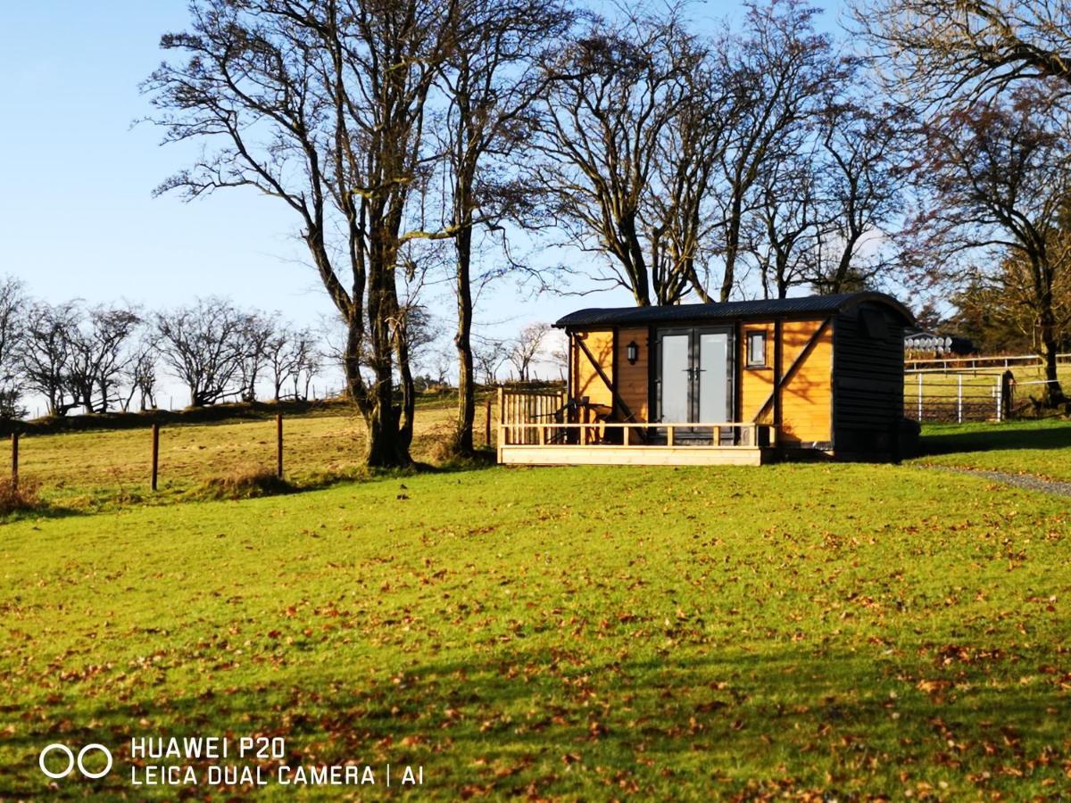 Vila Pen-Rhos Luxury Glamping "Cuckoo'S Nest" Llandrindod Wells Exteriér fotografie